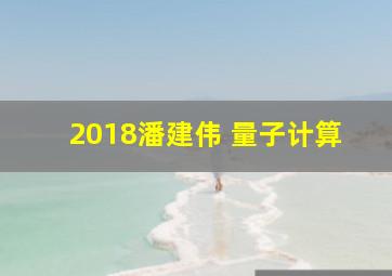 2018潘建伟 量子计算